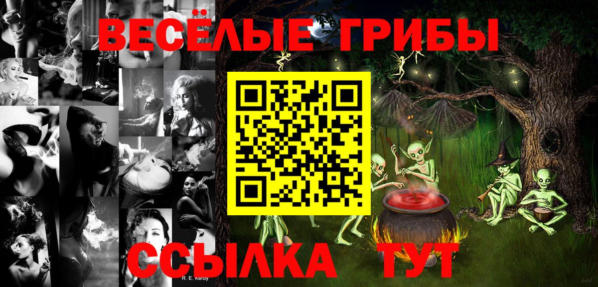 Псилоцибиновые грибы Psilocybine cubensis Междуреченск