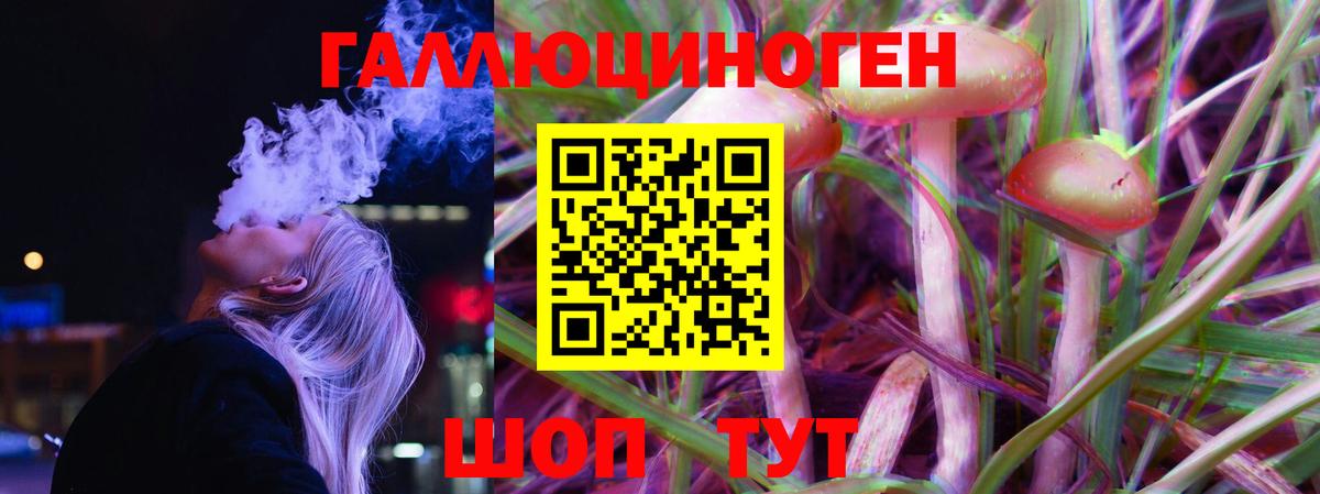 Псилоцибиновые грибы MAGIC MUSHROOMS  Вход с VPN  Междуреченск 